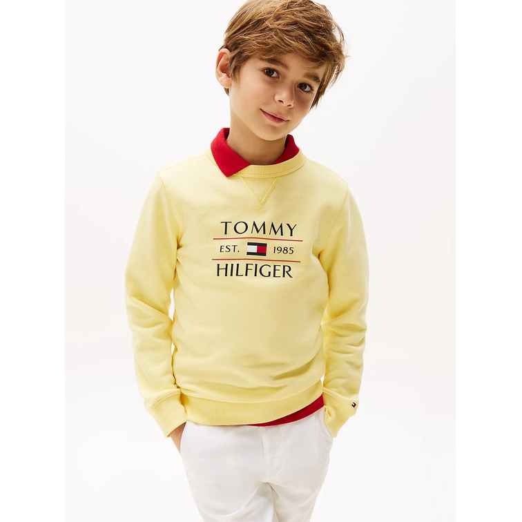 SUDADERA NIÑO TOMMY HILFIGER CON LOGO