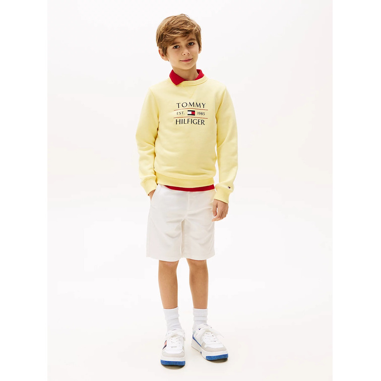 SUDADERA NIÑO TOMMY HILFIGER CON LOGO