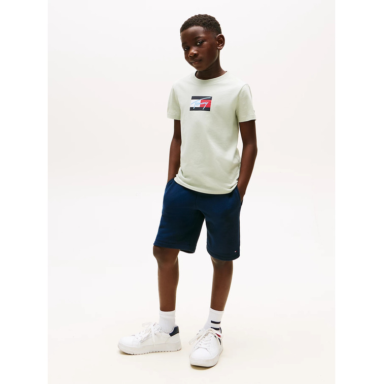 CAMISETA NIÑO TOMMY HILFIGER CON LOGO