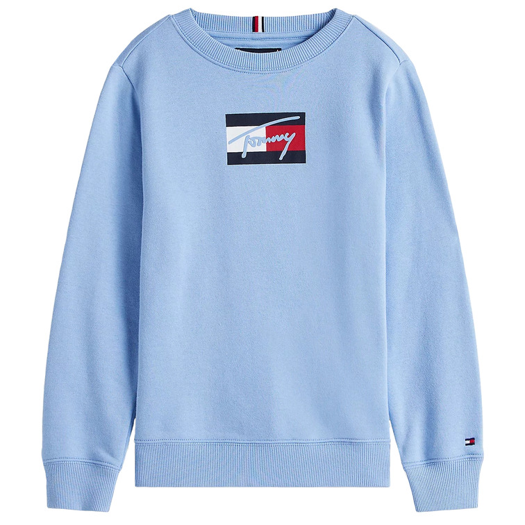 SUDADERA NIÑO TOMMY HILFIGER CON LOGO