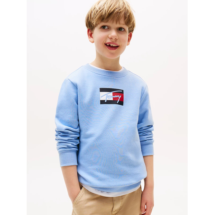 SUDADERA NIÑO TOMMY HILFIGER CON LOGO