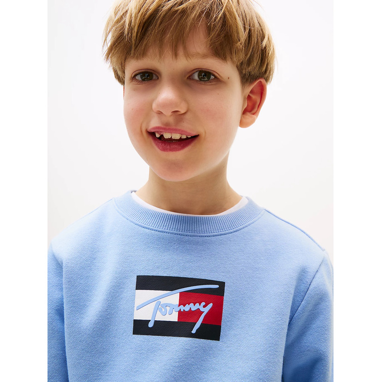 SUDADERA NIÑO TOMMY HILFIGER CON LOGO