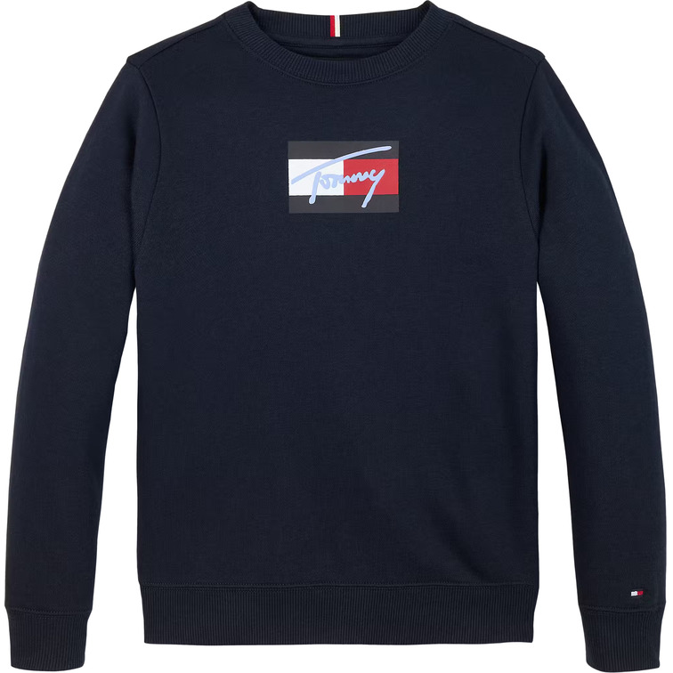 SUDADERA NIÑO TOMMY HILFIGER CON LOGO