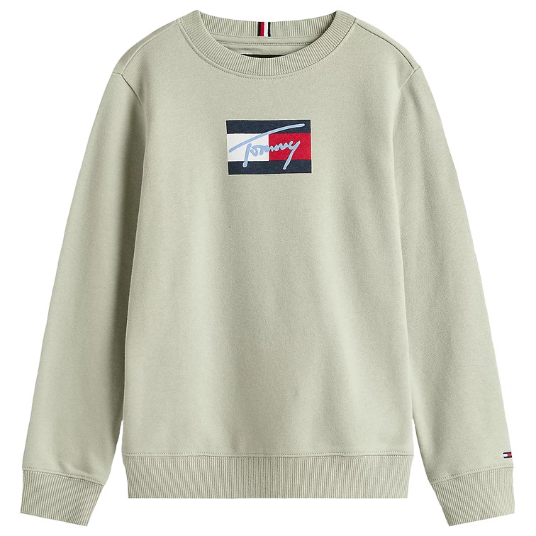 SUDADERA NIÑO TOMMY HILFIGER CON LOGO