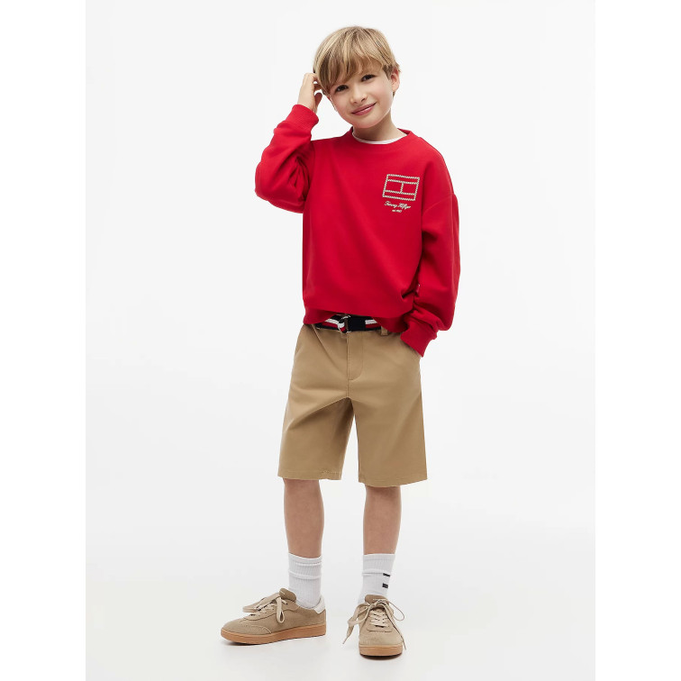 NIÑO OUTLINE FLAG GRAPHIC SWEATSHIR XLG