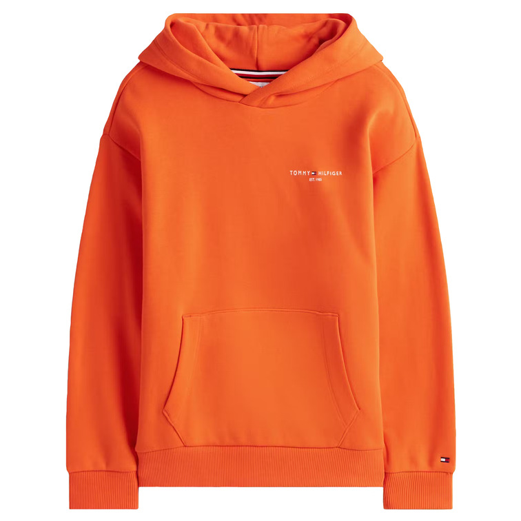 SUDADERA INFANTIL TOMMY HILFIGER CON CAPUCHA