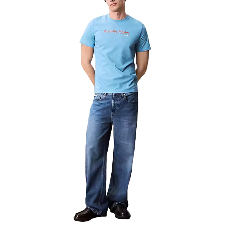 CAMISETA HOMBRE  CALVIN KLEIN M SS 30S EU CALVIN LINE 3D GRA