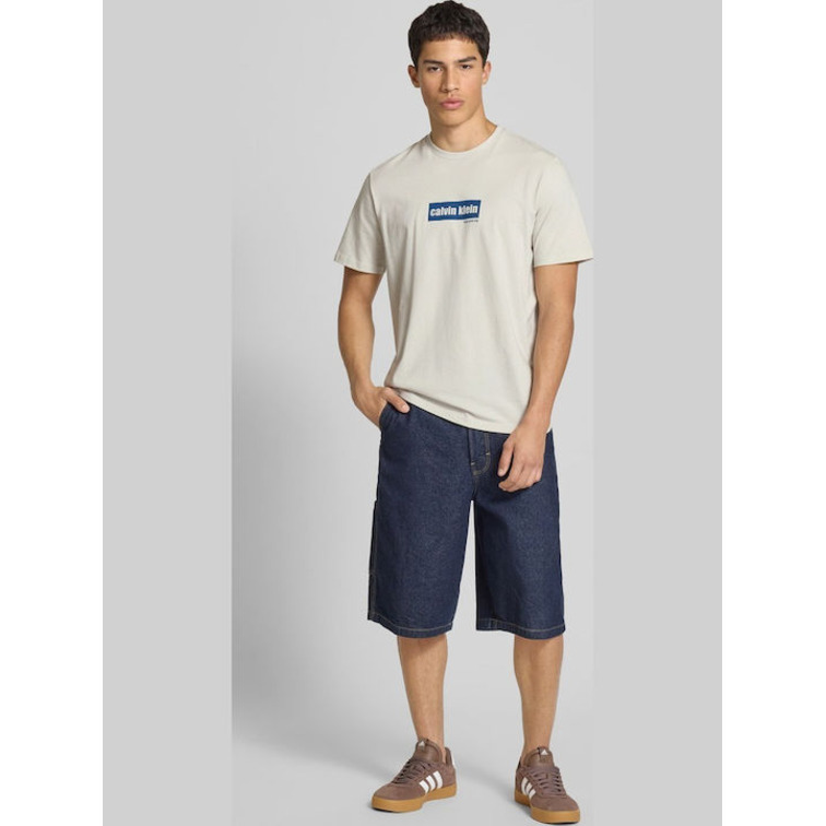 CAMISETA HOMBRE  CALVIN KLEIN M SS 30S EU CALVIN LINE BOGO G