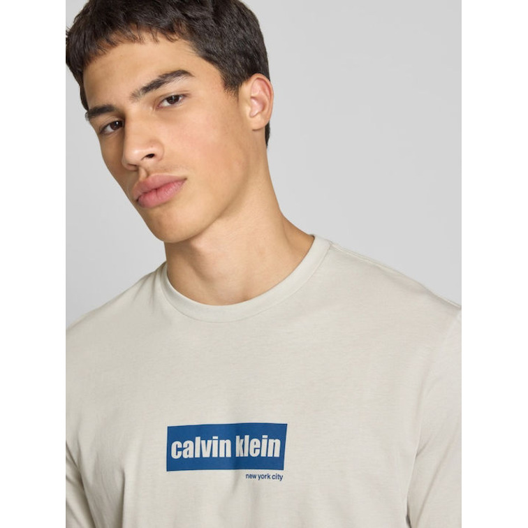 CAMISETA HOMBRE  CALVIN KLEIN M SS 30S EU CALVIN LINE BOGO G