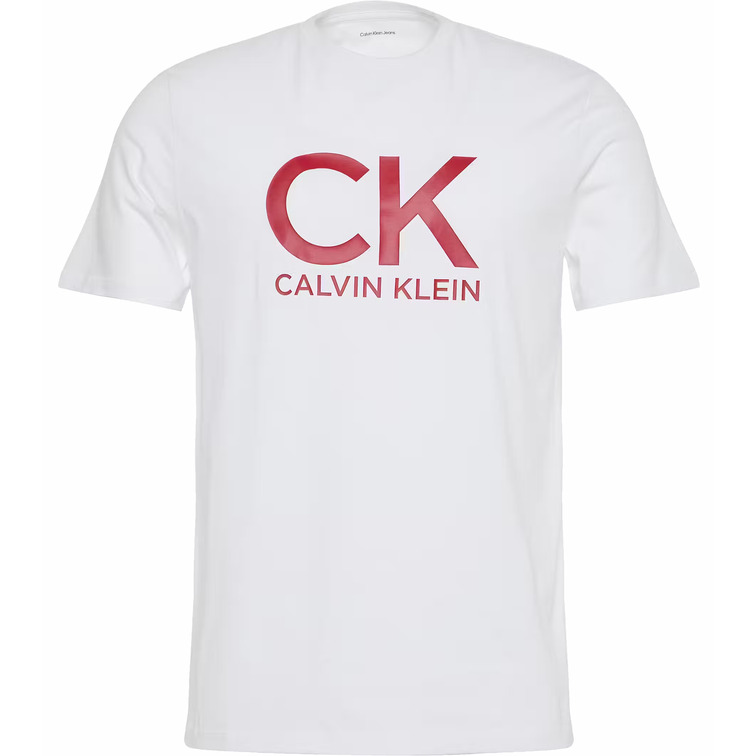 CAMISETA HOMBRE  CALVIN KLEIN M SS 30S EU CK CALVIN GRAPHIC