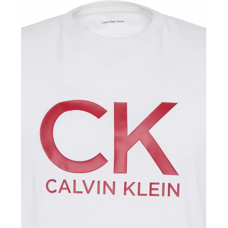 CAMISETA HOMBRE  CALVIN KLEIN M SS 30S EU CK CALVIN GRAPHIC