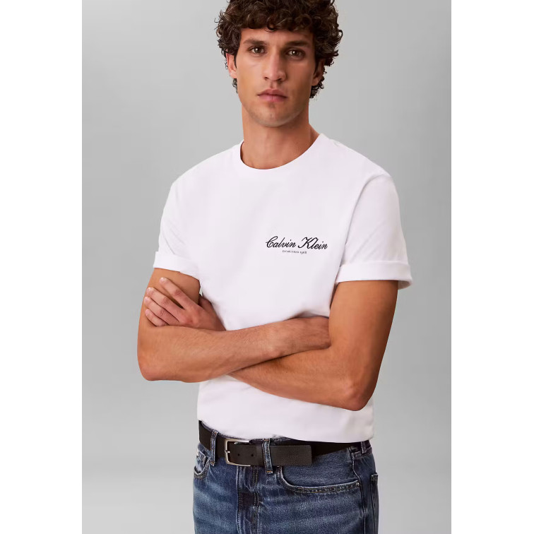 CAMISETA HOMBRE  CALVIN KLEIN M 20S MARCH GRAPHIC SEASONAL F