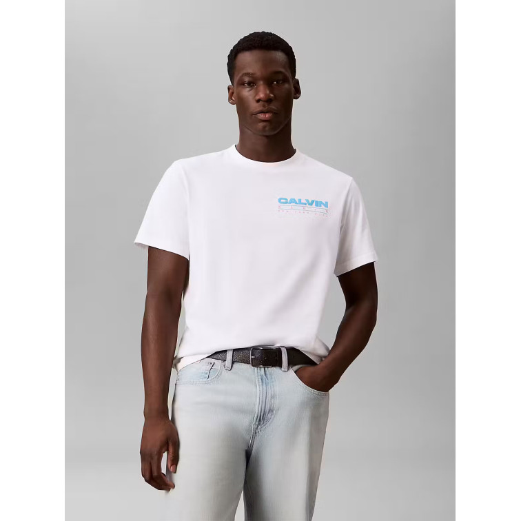 CAMISETA HOMBRE  CALVIN KLEIN M SS 20S CALVIN DISC STACK GRA