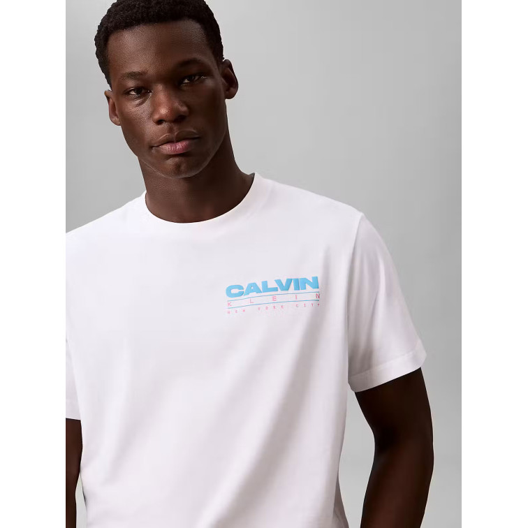 CAMISETA HOMBRE  CALVIN KLEIN M SS 20S CALVIN DISC STACK GRA