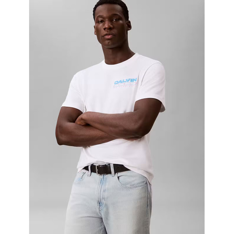 CAMISETA HOMBRE  CALVIN KLEIN M SS 20S CALVIN DISC STACK GRA