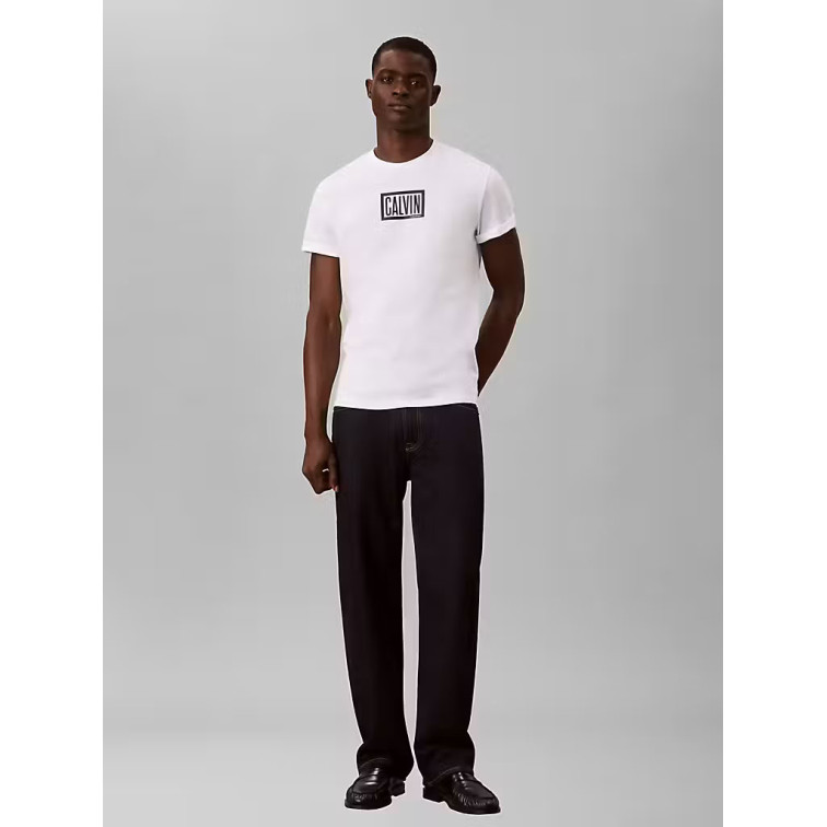 CAMISETA HOMBRE  CALVIN KLEIN M SS 30S EU BOXED CALVIN GRAPH