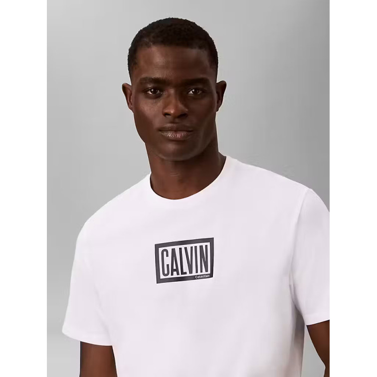 CAMISETA HOMBRE  CALVIN KLEIN M SS 30S EU BOXED CALVIN GRAPH