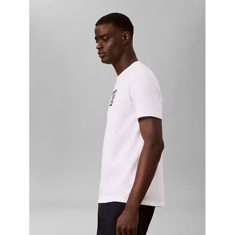 CAMISETA HOMBRE  CALVIN KLEIN M SS 30S EU BOXED CALVIN GRAPH