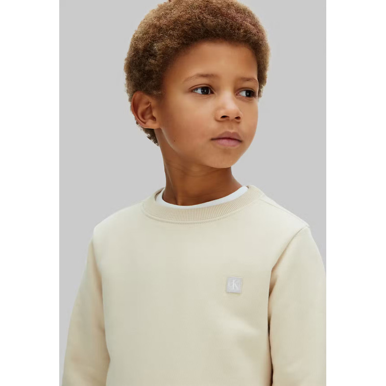 SUDADERA   CALVIN KLEIN U MINI BADGE REG CN