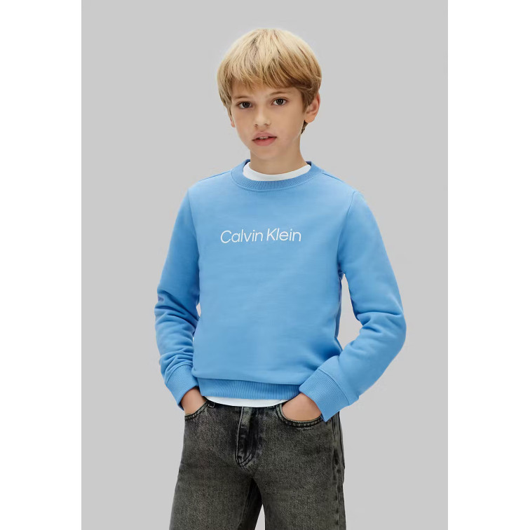 SUDADERA   CALVIN KLEIN U INST. LOGO REGULAR CN