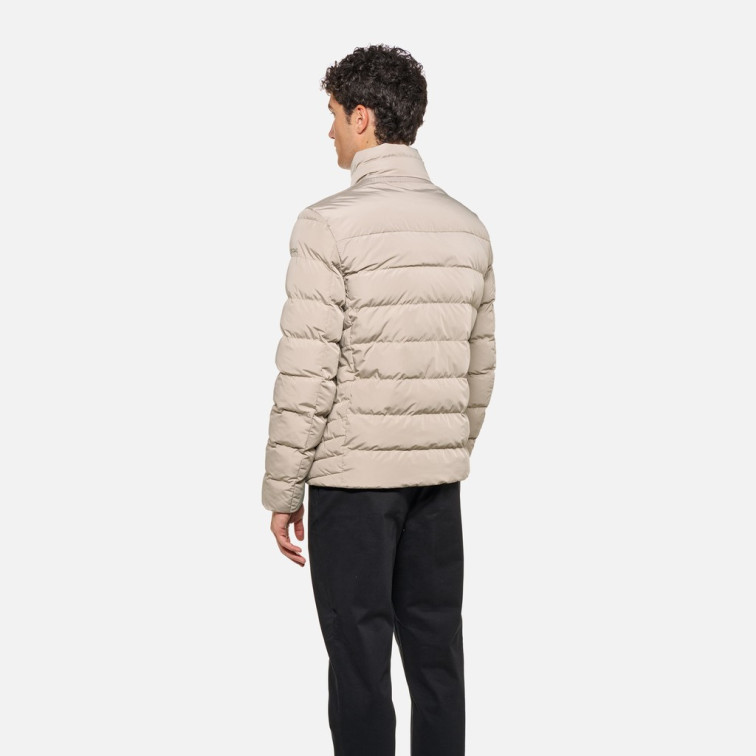 CAZADORA HOMBRE  GEOX M MAGNETE