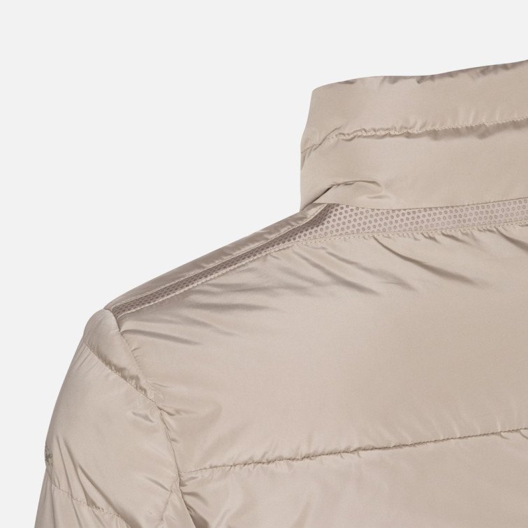CAZADORA HOMBRE  GEOX M MAGNETE