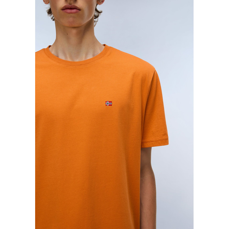 CAMISETA HOMBRE  NAPAPIJRI SALIS SS SUM
