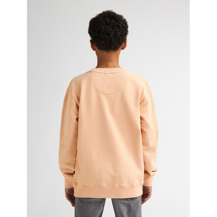 SUDADERA NIÑO  PETROL INDUSTRIES BOYS SWEATER ROUND NECK PRINT