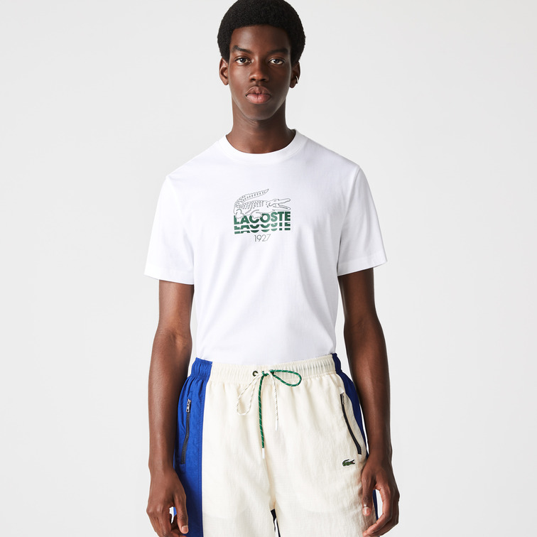 CAMISETA HOMBRE LACOSTE LOGO