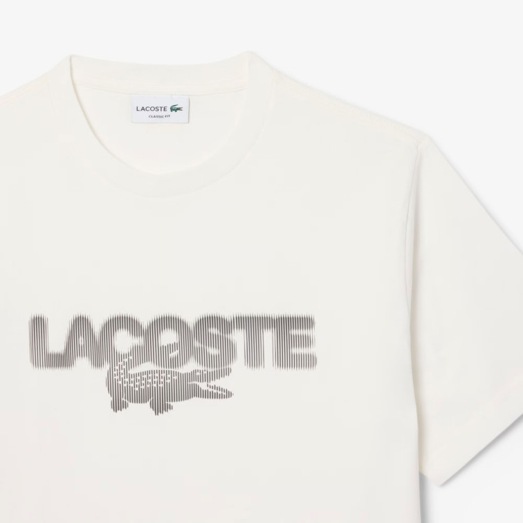 CAMISETA HOMBRE  LACOSTE TEE-SHIRTS & COLS ROULES