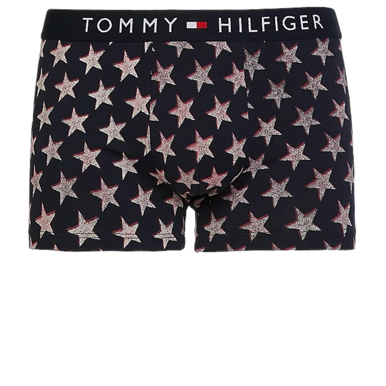 CALZONCILLOS HOMBRE TOMMY HILFIGER TRUNK PRINT