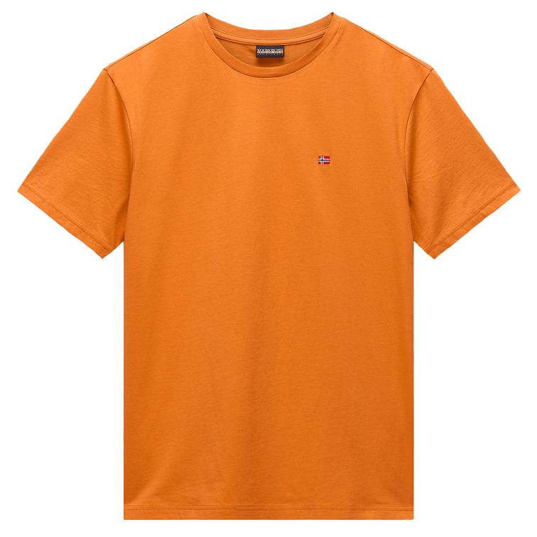 CAMISETA HOMBRE  NAPAPIJRI SALIS SS SUM