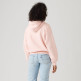 SUDADERA MUJER  LEVI'S EVERYDAY HOODIE SWEATSHIRT CRY