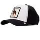 GORRA HOMBRE GOORIN ALPHA DOG