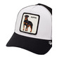 GORRA HOMBRE GOORIN ALPHA DOG
