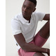 POLO HOMBRE  ALTONADOCK POLO BLANCO