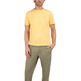 CAMISETA HOMBRE EL GANSO CAMISETA CUELLO CAJA GARMENT D