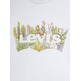 CAMISETA MUJER LEVIS THE PERFECT TEE BATWING DESERT
