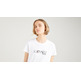 CAMISETA MUJER LEVIS THE PERFECT TEE DREAM STATE MO