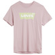 CAMISETA HOMBRE LEVIS HOUSEMARK GRAPHIC TEE CHEST BA