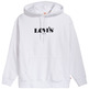 SUDADERA HOMBRE  LEVIS T2 RELAXED GRAPHIC PO MV LOGO