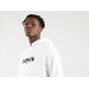 SUDADERA HOMBRE LEVIS T2 RELAXED GRAPHIC PO MV LOGO