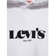 SUDADERA HOMBRE  LEVIS T2 RELAXED GRAPHIC PO MV LOGO