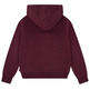 SUDADERA NIÑA  LEVI'S LVG BATWING PATCH HOODIE