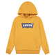 SUDADERA CON CAPUCHA NIÑO LEVI'S LOGO BATWING TALLAJE ADOLESCENTE