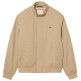 CAZADORA HOMBRE  LACOSTE VESTES COURTES HOMME ADULTE CH