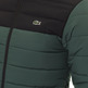 CAZADORA ACOLCHADA HOMBRE LACOSTE
