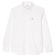 CAMISA OXFORD HOMBRE LACOSTE DE ALGODÓN FIT REGULAR