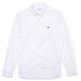 CAMISA LISA EN ALGODÓN PREMIUM HOMBRE LACOSTE
