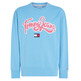 SUDADERA UNIVERSITARIA AMPLIA CON LOGO HOMBRE TOMMY JEANS